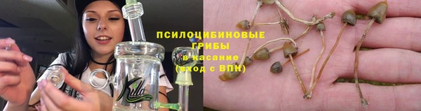 гидра Алзамай