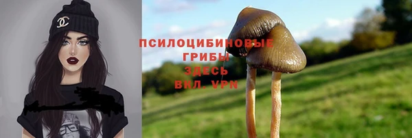 apvp Алексеевка
