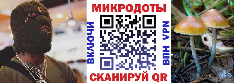 хочу наркоту  Нижнеудинск  Галлюциногенные грибы Magic Shrooms 